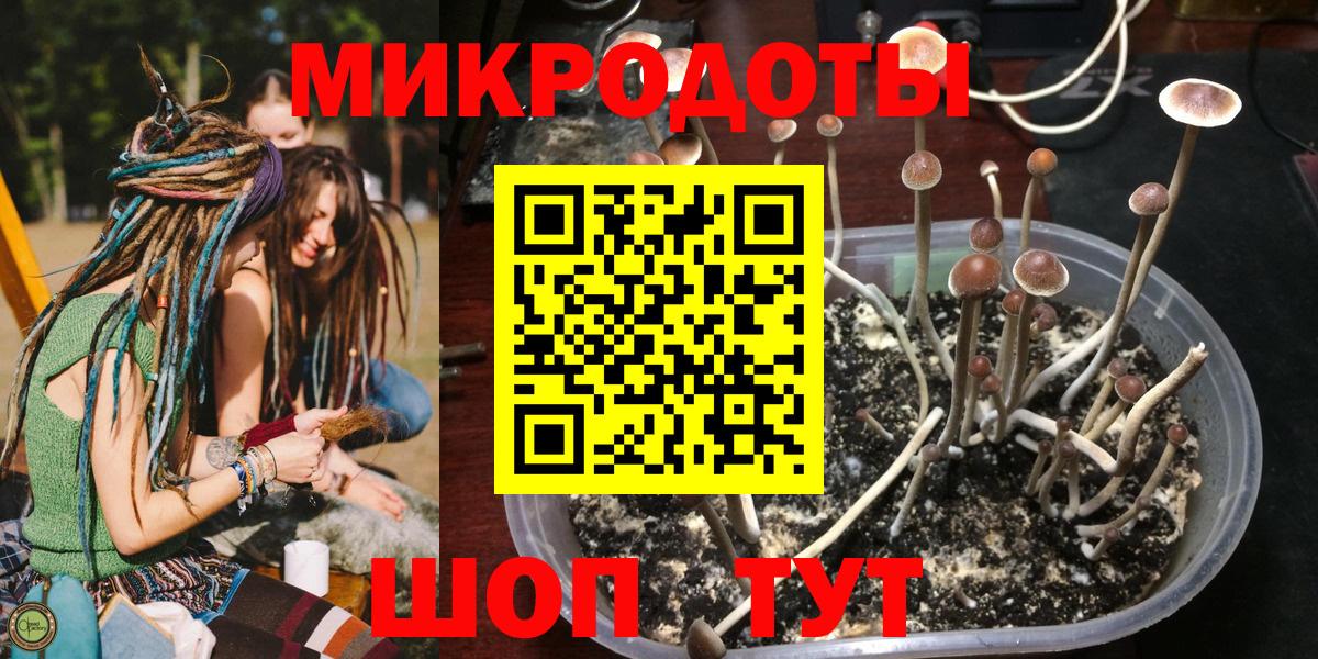 Псилоцибиновые грибы Psilocybine cubensis Рыбинск