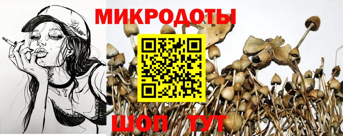 Псилоцибиновые грибы прущие грибы  Вход с VPN  Рыбинск  Галлюциногенные грибы Psilocybine cubensis 